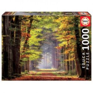 1000 Caminhada de outono
