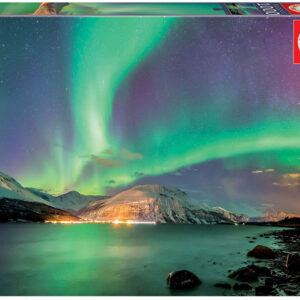 1000 Aurora boreal