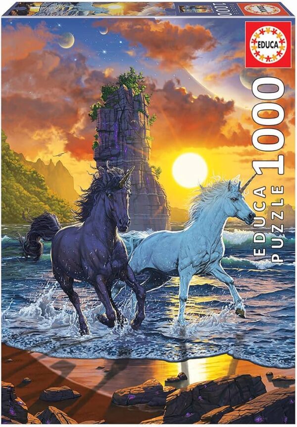 1000 Unicórnios na praia