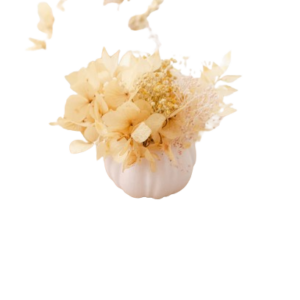 Abobrinha com Flores