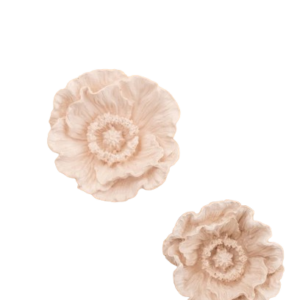Papoila Aberta