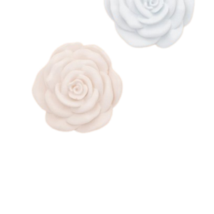 Rosa Grande Achatada