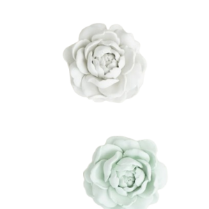 Gardenia
